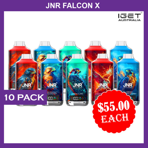 JNR FALCON – 18000 PUFFS – 10 PACK