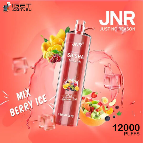 JNR SHISHA HOOKAH – MIX BERRY ICE – 12000 PUFFS